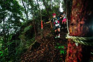 BIB: 
                            <button type="button" onclick="openModal(26197937)" class="btn btn-primary btn-sm float-right btn-popup" data-toggle="modal" data-target=".modal-high-quality">
                        <i class="fas fa-shopping-cart"></i> Add to Cart
                    </button>
                                            <button type="button" onclick="isThisMe(26197937, true)" class="btn btn-success btn-sm float-right btn-popup btn-isme hidden" data-toggle="tooltip" data-placement="bottom" title="นี่คือรูปของคุณใช่ไหม คลิกที่นี่เพื่อเอาเข้าอัลบั้ม">
                        <i class="fas fa-plus"></i> Add to album
                    </button>
                    <button type="button" onclick="isThisMe(26197937, false)" class="btn btn-warning btn-sm float-right btn-popup btn-isnotme hidden">
                        <i class="fas fa-ban"></i> Remove from album
                    </button>